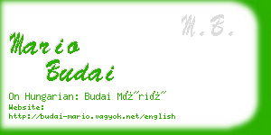 mario budai business card